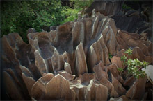 Остров Раунд (Round Island), Сейшельские острова