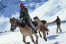 Тинь, Франция