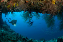 Мальдивские острова, Мальдивы