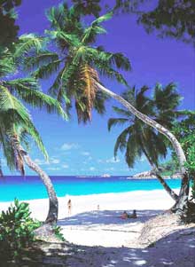 Сейшелы, Сейшельские острова