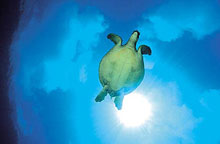 Сейшелы, Сейшельские острова