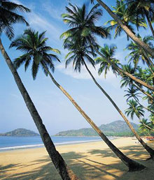 Штат Гоа, Индия