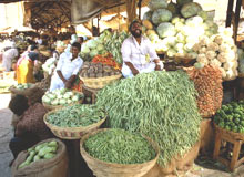 Штат Гоа, Индия