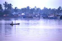 Штат Гоа, Индия