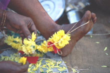 Штат Гоа, Индия