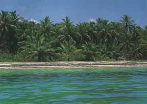 Бока Чика (Boca Chica), Доминиканская республика