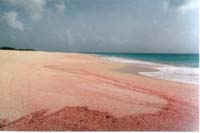 Барбуда, Антигуа и Барбуда