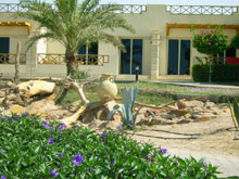 Coral Beach Hotel Hurghada(ex.Coral Beach Rotana Resort - Hurghada)