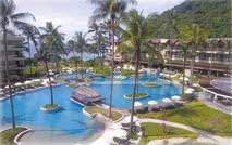 Phuket Merlin