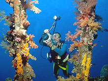 Novotel Beach Sharm El Sheikh(ex.Novotel Sharm El-Sheikh)