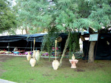 Leonardo Inn Hotel Dead Sea(ex/Tulip Inn (ex. Ein Bokek))