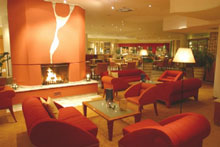 Салон с камином