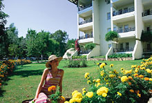 Barut Hemera