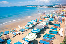 Lonicera World (ex.Club Lonicera)