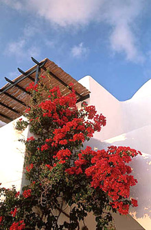 Astra Suites(ex.Astra Apartments & Suites)