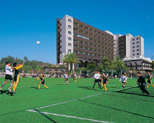 Футбольное поле