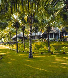 Manaltheeram Village Ayurvedic