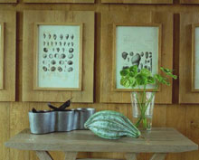 Novotel Thalassa Dinard