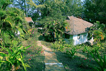 Anoasis Beach Resort