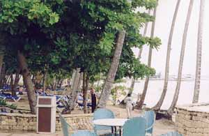 Barcelo Capella Beach