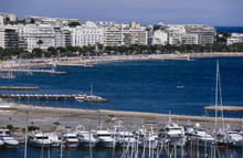 Amarante Cannes