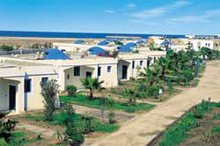 Lillyland Beach Club