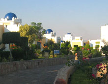 Lillyland Beach Club