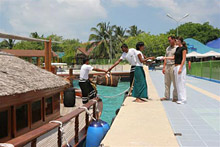 Safari Island Resort & Spa( ex.Dhoni Island Resort )