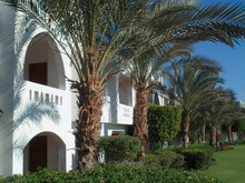 Domina Coral Bay Oasis