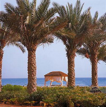Danat Jebel Dhanna Resort(ex.Danat Resort Jebel Dhanna)