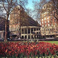 Grosvenor House Apartments