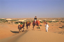 Al Maha,A Luxury Collection Desert Resort & Spa