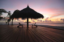 The Rania Experience