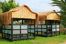 Green Max(ex.Chervo Club Sirene)