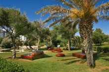 Green Max(ex.Chervo Club Sirene)