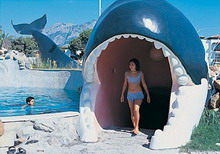 Naturland Vacation Club In Eco Park - Aqua Resort