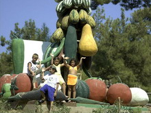 Naturland Vacation Club In Eco Park - Country Resort