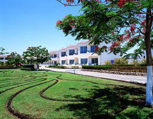 Dreams Beach Sharm El Sheikh