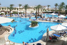 Hilton Sharks Bay Resort