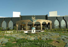 Raouf Hotels International moon