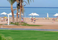 Raouf Hotels International moon