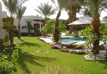 Hilton Sharm Fayrouz Resort(ex.Hilton Fayrouz Resort)
