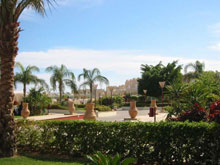 Reef Oasis Beach Resort