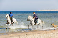 Mercure(ex.Sofitel Hurghada)