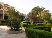 Club Azur Resort(ex.Club Azur)