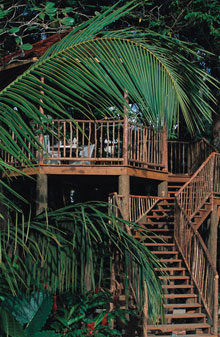 Discovery at Marigot Bay