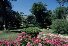 Delfinia Hotels(ex.Delfinia)