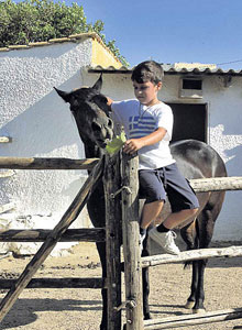 Capsis Resort Crete - Superior Bungalows