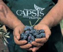 Capsis Resort Crete - Superior Bungalows