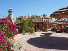 Club el Faraana Reef